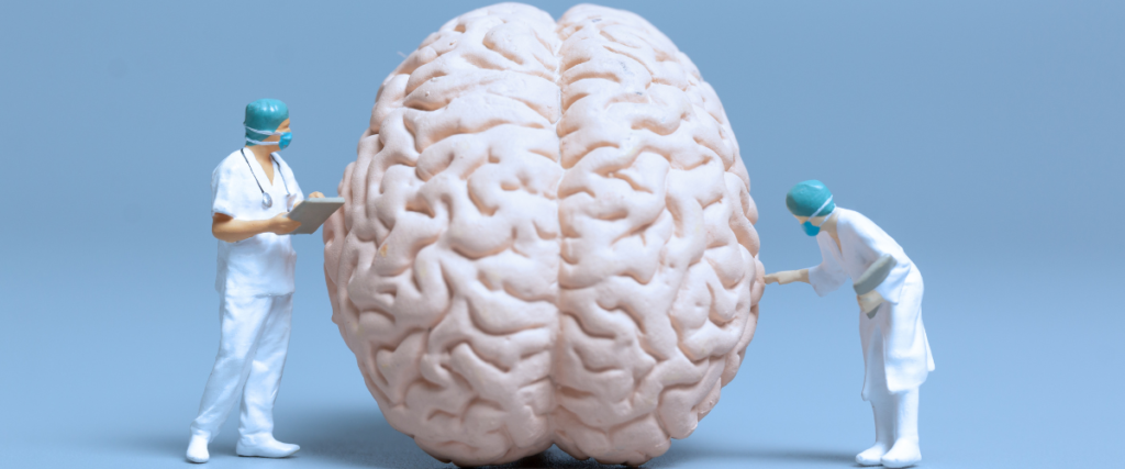 esencial para un cerebro eficiente