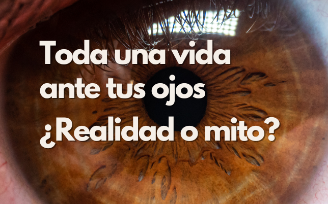 La vida delante tus ojos