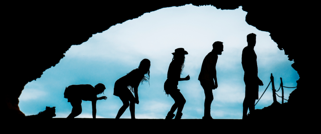 evolucion