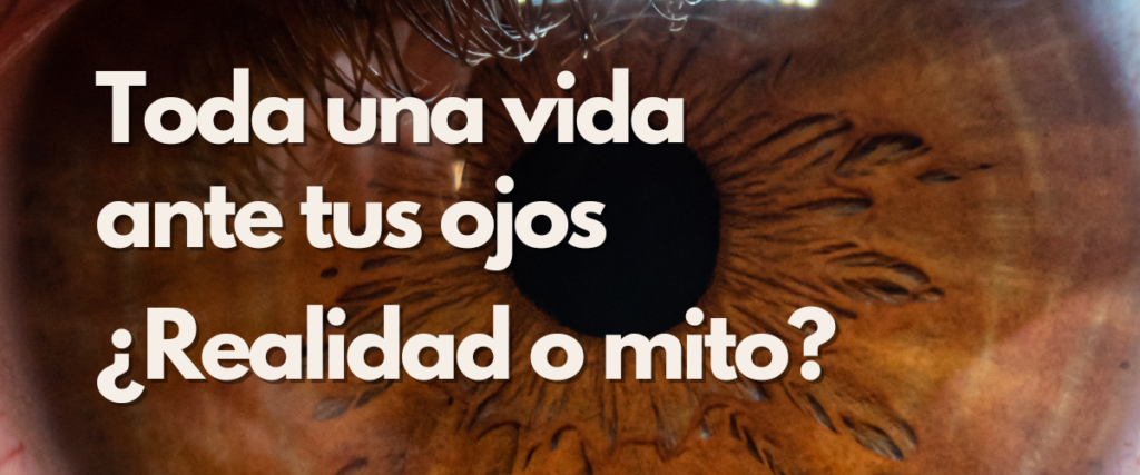 La vida delante tus ojos